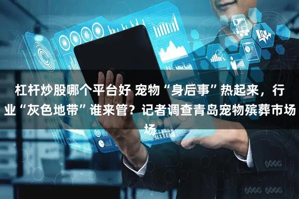 杠杆炒股哪个平台好 宠物“身后事”热起来，行业“灰色地带”谁来管？记者调查青岛宠物殡葬市场