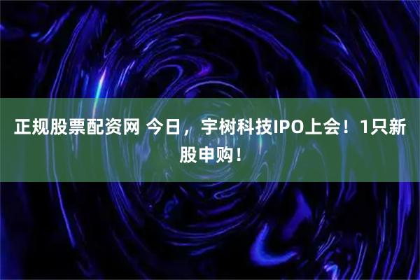 正规股票配资网 今日，宇树科技IPO上会！1只新股申购！